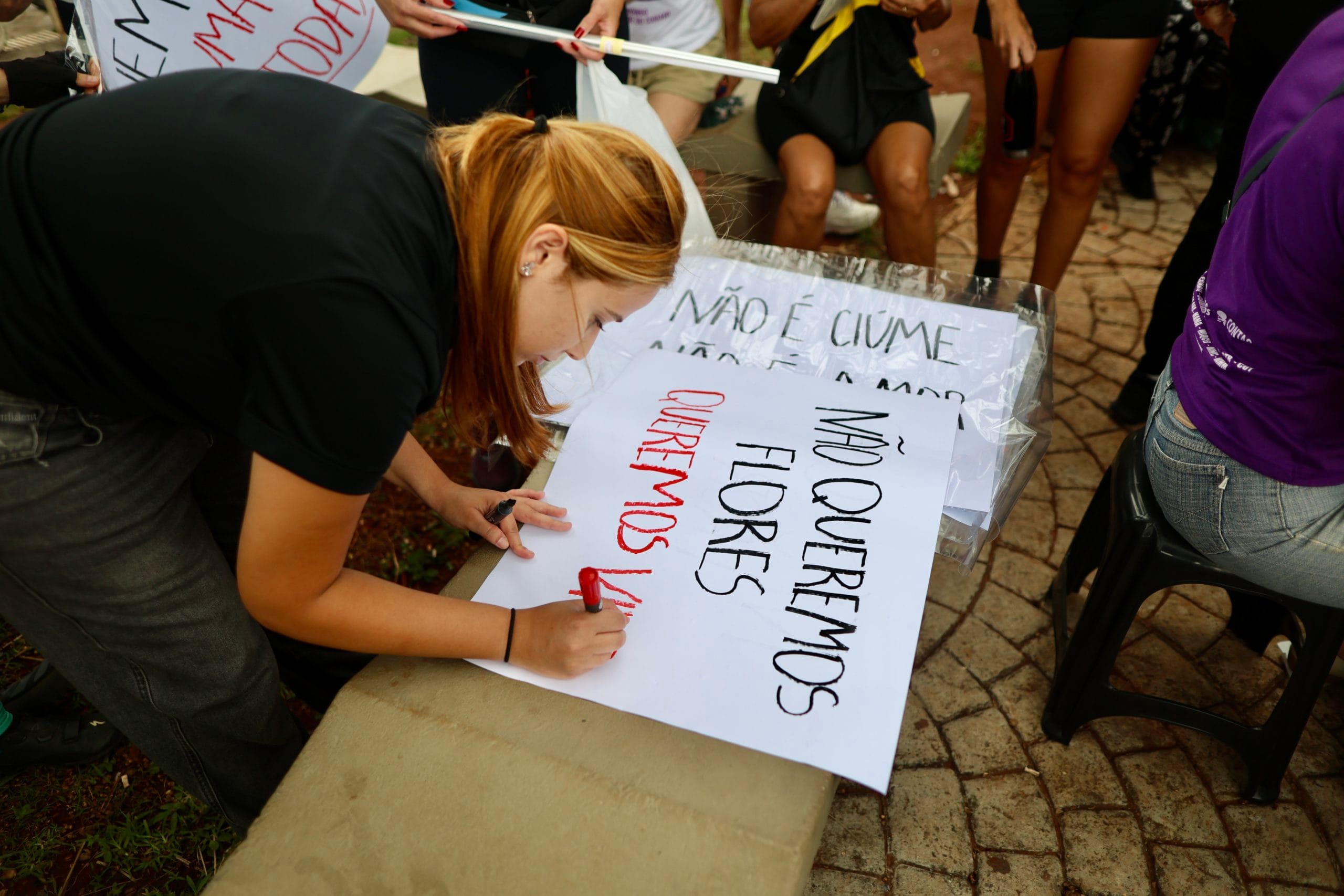 Cartazes foram feitos e distribu&iacute;dos durante o evento