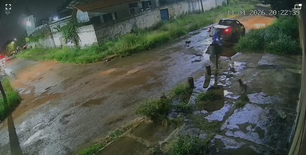 Crueldade: homem desce de carro, abandona 5 cachorros e vai embora. Veja vídeo